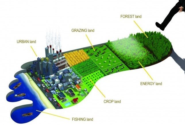 Ecological Foot Print