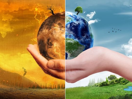 Environment Sustainability Service In India