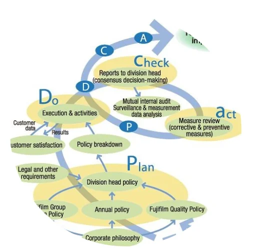 Audit Assignment Steps Undertaken by BESPL