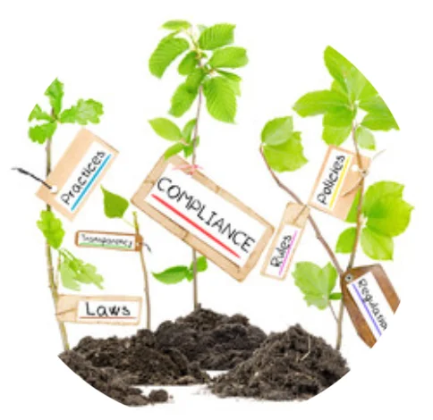 Environmental Due-diligence Study