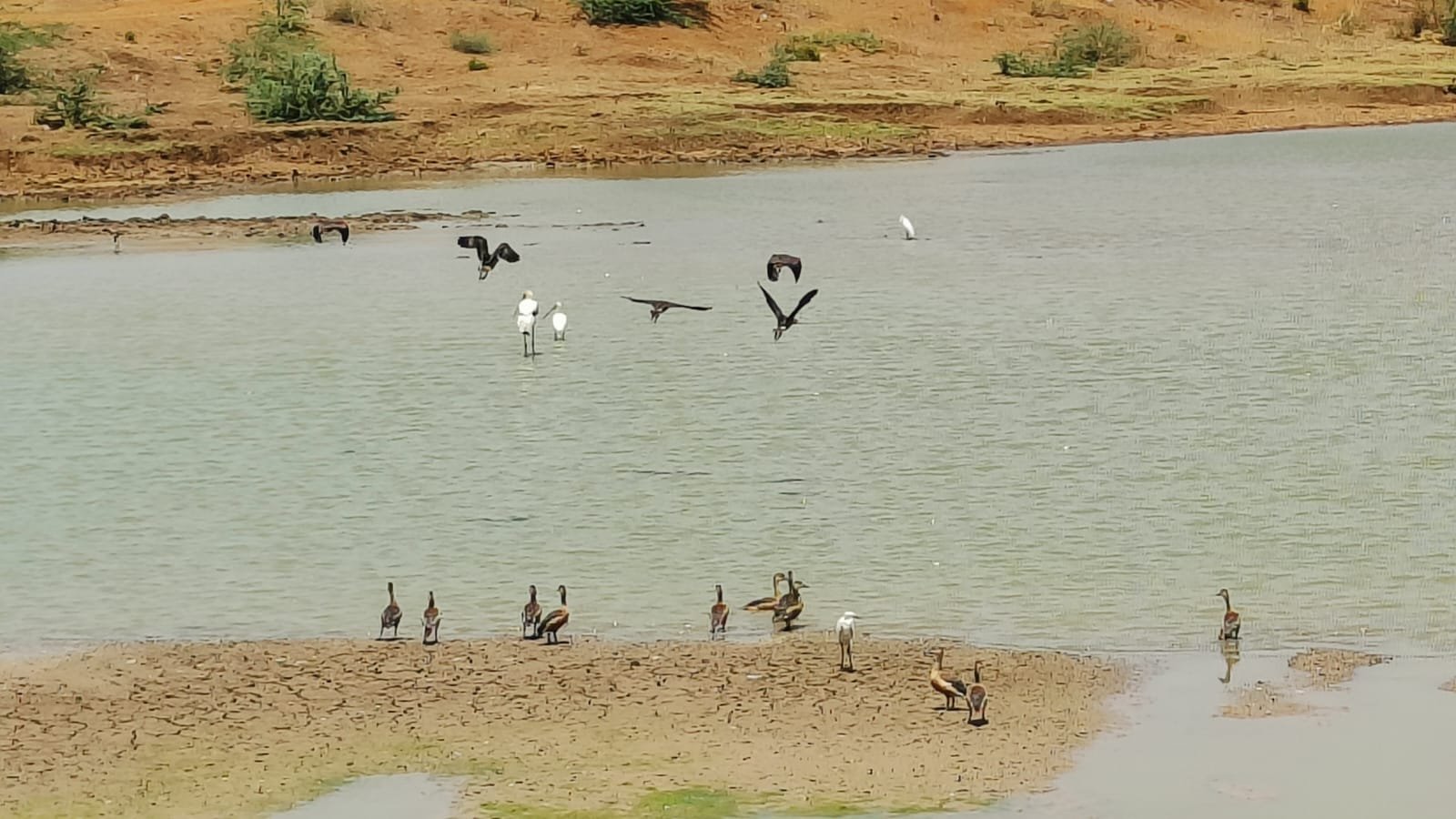 EIA Baseline Monitoring